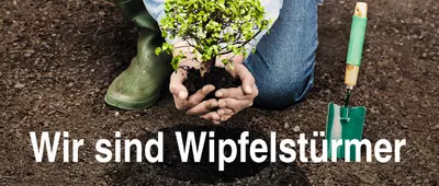 MD Sonnenschutztechnik GmbH ist Wipfelstürmer MD Sonnenschutztechnik GmbH ist Wipfelstürmer